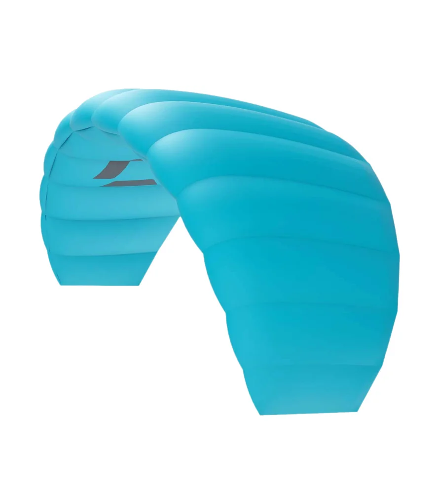 Duotone Trainer  Lizard