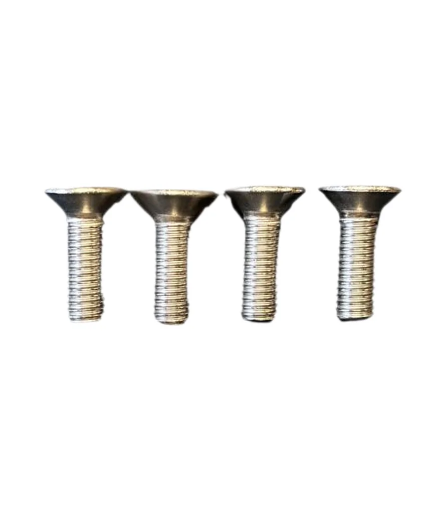 Telstar surf RVS M6 TORX TX30 4st.