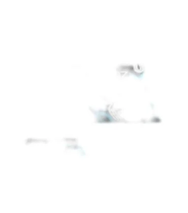 Neilpryde TPX 100 SDM